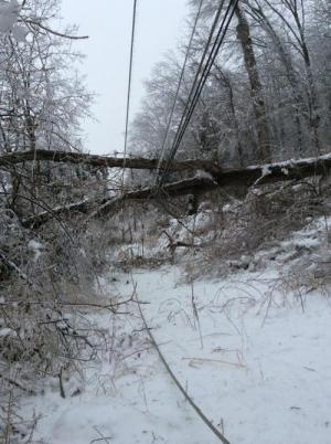 3 phase down on alpine road_0.jpeg