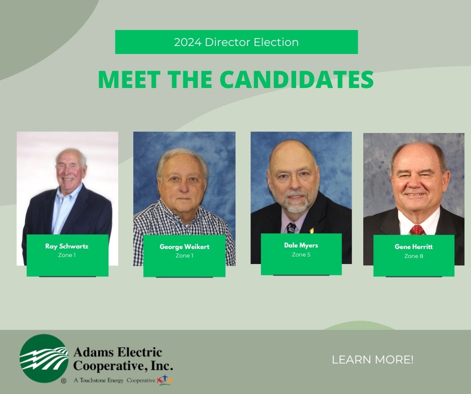 Director Candidates